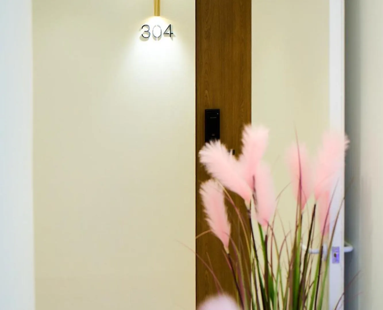 Stay Seorae Seoul South Korea